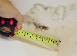 Miami Gardens Restoration Company Miami Gardens, FL 786-347-3363 - miami-dade