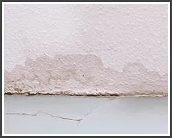 Miami Gardens Restoration Company Miami Gardens, FL 786-347-3363 - services-01