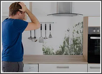 Miami Gardens Restoration Company Miami Gardens, FL 786-347-3363 - services-03