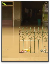 Miami Gardens Restoration Company Miami Gardens, FL 786-347-3363 - sidebar-02